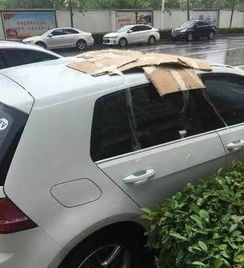 汽车后挡板底漆多少钱