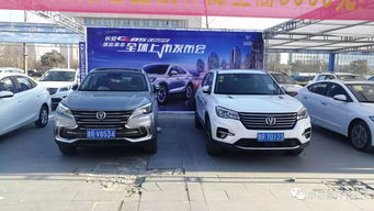 单县到东营汽车多少钱