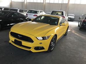 最贵野马汽车多少钱