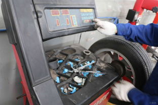 汽车前后轮对调多少钱