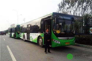 毫州至周口汽车多少钱