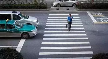 汽车撞人司机赔偿多少钱