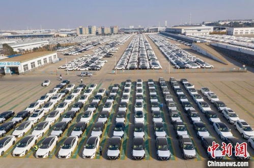 潮阳汽车保有量多少