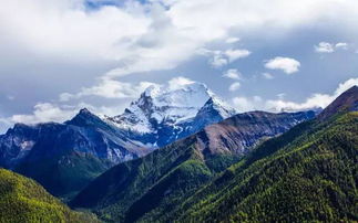 德阳到稻城汽车多少公里