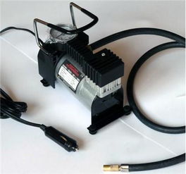 汽车充气泵打多少气体