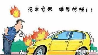 汽车自燃报保险赔多少