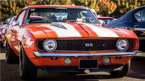 永清到廊坊汽车多少钱 永清到廊坊汽车多少钱