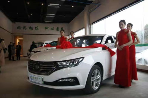 巴中能源汽车有多少辆