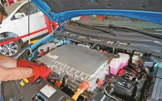 美国换汽车电瓶多少钱 美国换汽车电瓶多少钱