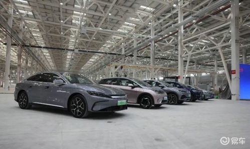 合肥现有多少辆汽车销售 合肥现有多少辆汽车销售