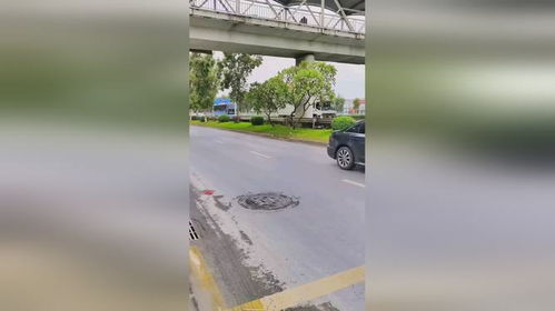 汽车金华到义乌多少公里 汽车金华到义乌多少公里