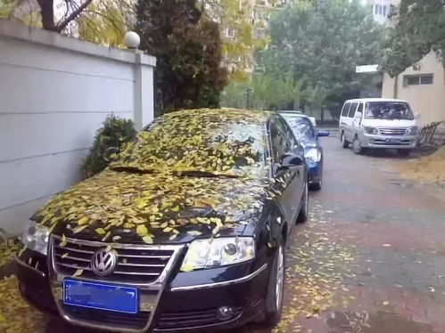 汽车正常多少公里报废