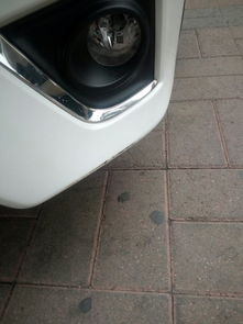 汽车喷前保险杠多少钱