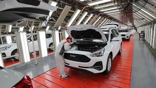 荆门长城汽车薪资多少