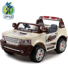 遥控玩具汽车多少钱