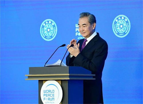 王毅:我们从不惹事更不怕事