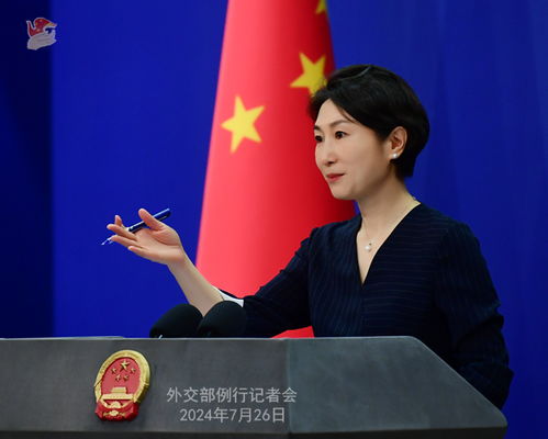 毛宁首次主持两会外长会