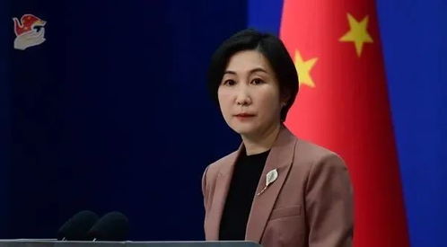 毛宁首次主持两会外长会