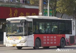 新余公共汽车电话多少