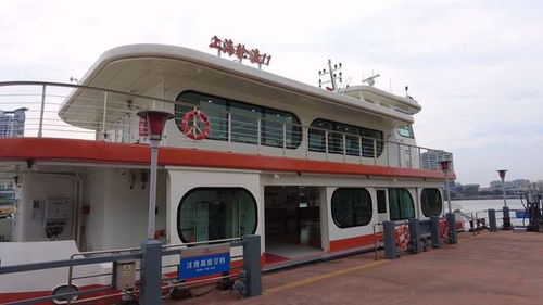 国内有多少艘汽车渡轮