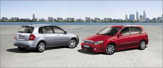 查询汽车是多少排量的