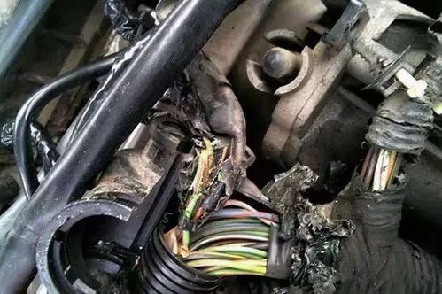 汽车室外喷漆需要多少度