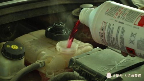 汽车散热液多少钱