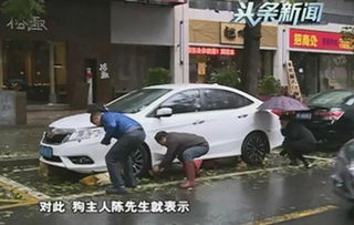 汽车撞死人赔偿多少