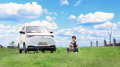 电动汽车最大码数多少