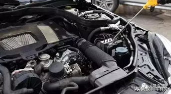 汽车保养隔多少时间