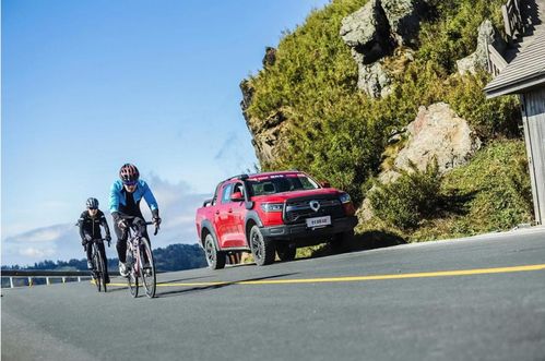 巴基斯坦生产多少汽车 巴基斯坦生产多少汽车