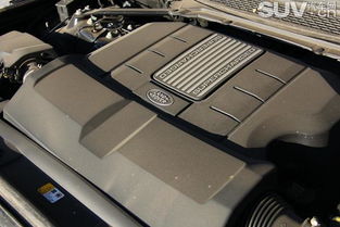 汽车新压缩机加多少油