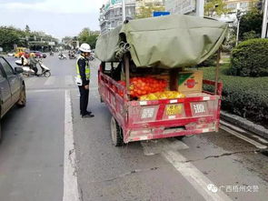 岑溪汽车到大业镇要多少 岑溪汽车到大业镇要多少