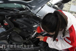 汽车拉缸要多少钱修 汽车拉缸要多少钱修