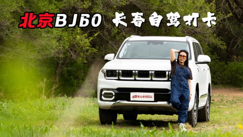 汽车take 多少钱