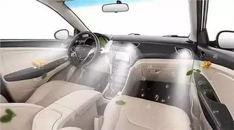 汽车光触媒多少钱