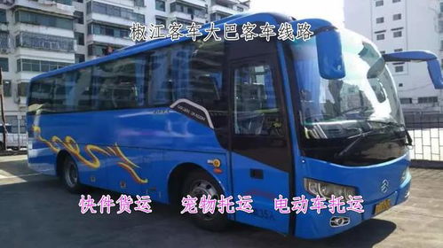 罗山到正阳汽车多少钱