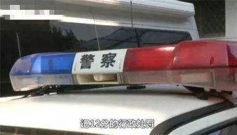 汽车铁牌多少钱
