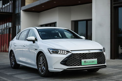 6月汽车比亚迪销量多少