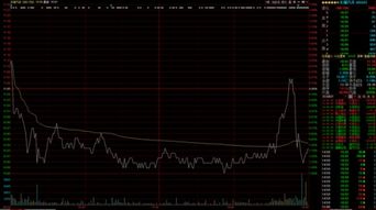 长城汽车当日股价多少