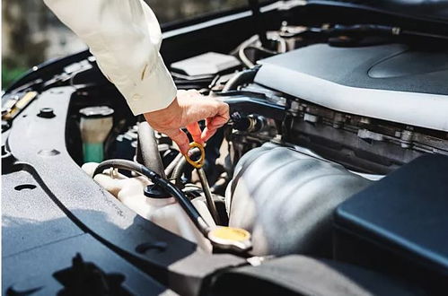 莱阳汽车油箱多少公里