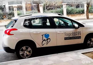 共享汽车月收入多少