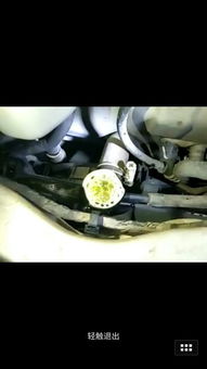 汽车冲缸维修费要多少