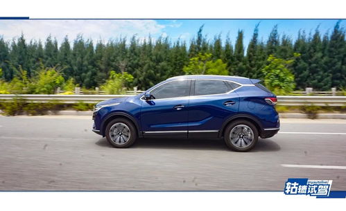 大轱辘汽车多少钱