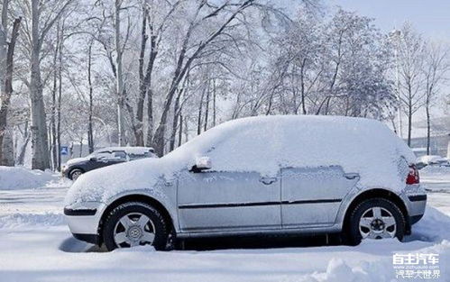 冬天汽车加多少柴油好