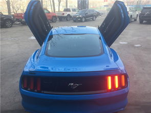 汽车剪刀门改装多少钱