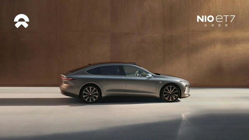 蔚来汽车推荐多少积分