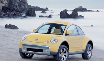 大众甲壳虫汽车多少钱
