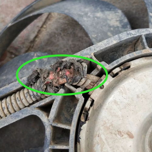 汽车的电子扇多少钱 汽车的电子扇多少钱