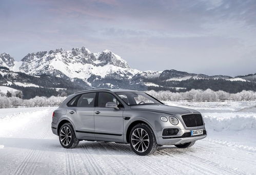 中国最贵的汽车多少钱